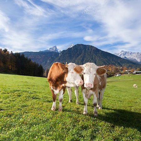 Gaestehaus Untersulzberglehen Schönau am Königssee المظهر الخارجي الصورة