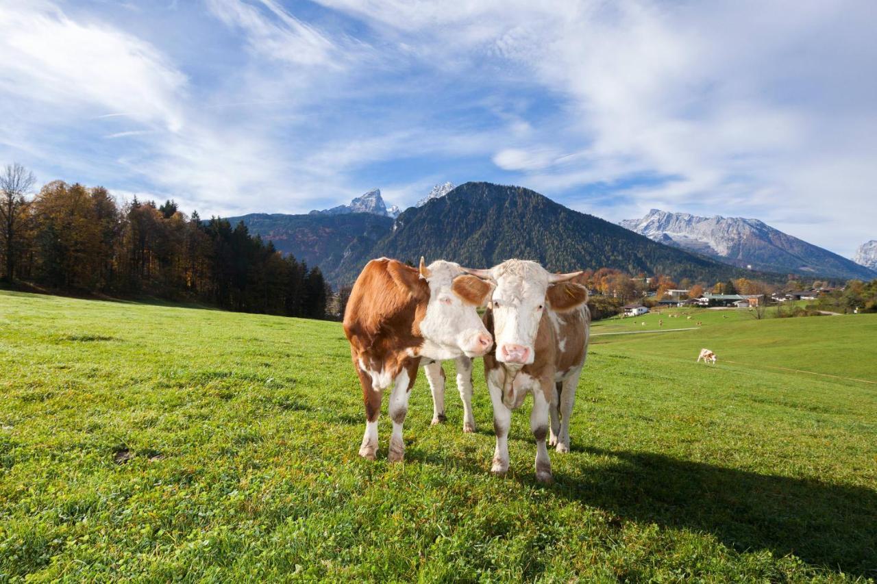 Gaestehaus Untersulzberglehen Schönau am Königssee المظهر الخارجي الصورة